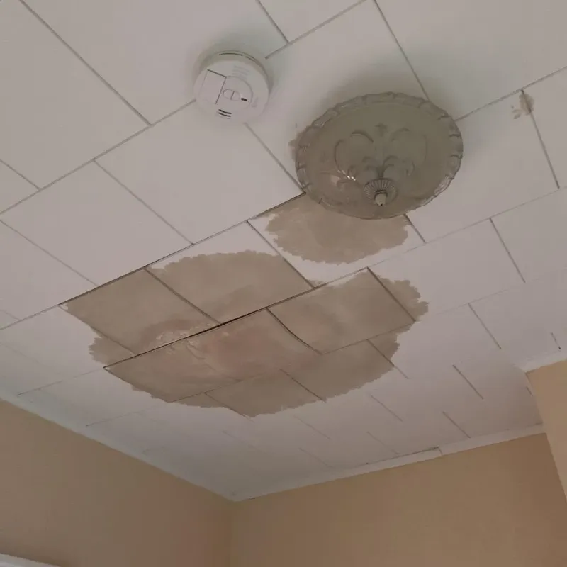 Ceiling Water Damage Repair in Edgeworth, PA