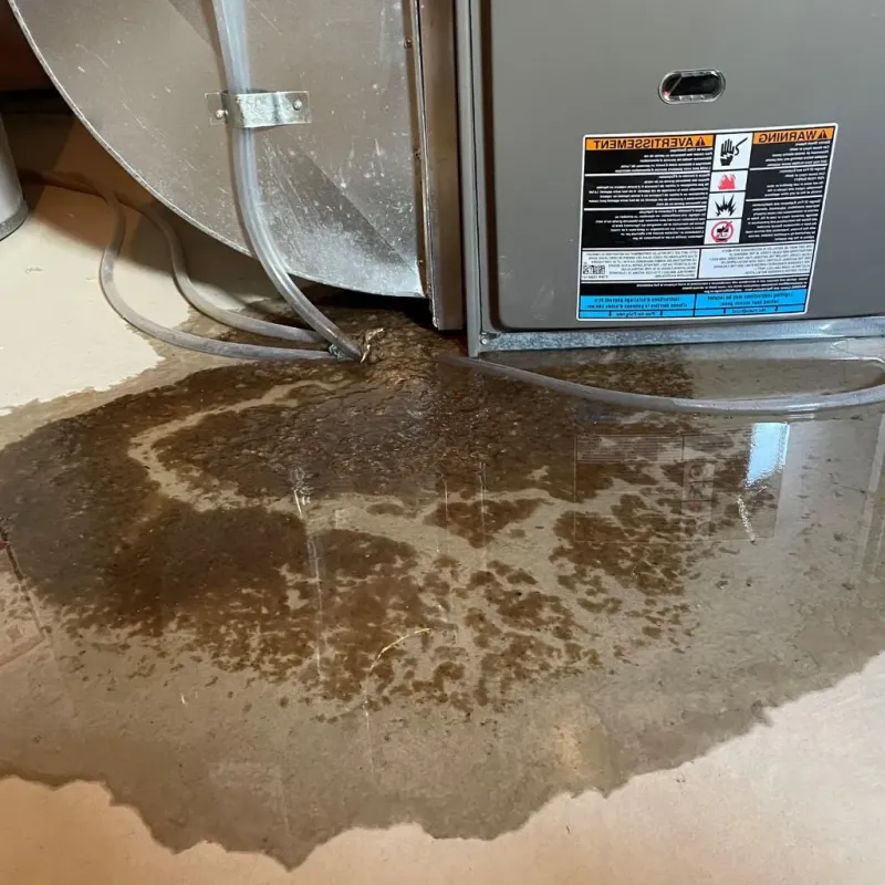 Pipe Burst and Leak Restoration in Edgeworth, PA