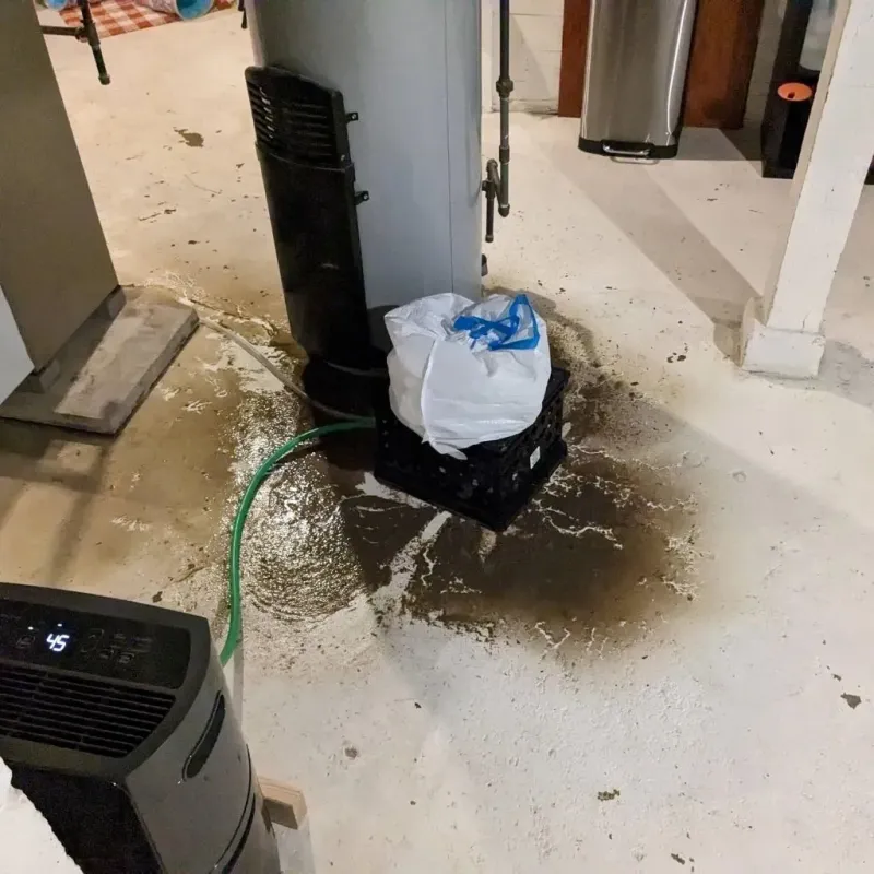 Sewage Backup Cleanup Service in Edgeworth, PA